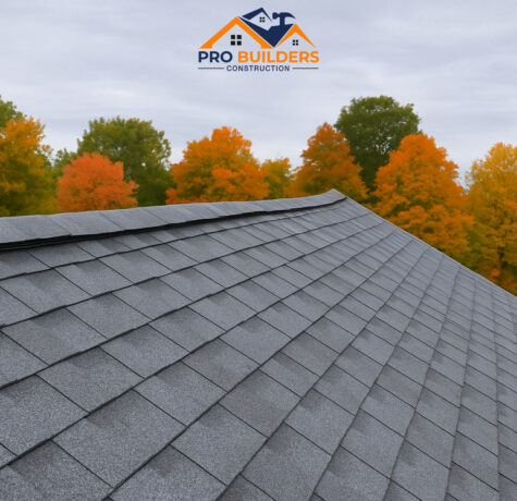 Gray shingle roof with a brick chimney in the foreground, set against a backdrop of autumn trees with orange and green foliage under a cloudy sky.