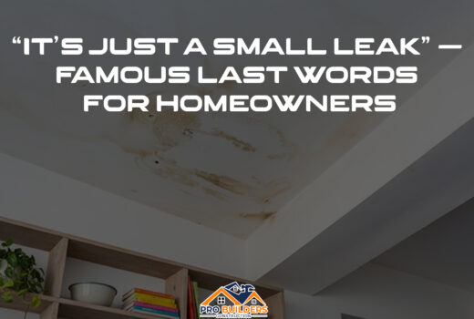 Close-up of a white ceiling with multiple brown water stains and bubbling paint, indicating water damage. Below the damaged ceiling, a light wooden bookshelf is visible, holding potted plants, books, and various decorative items.